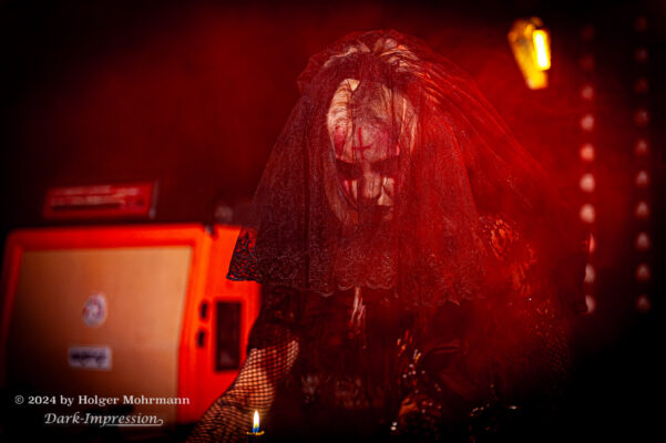 AUX ANIMAUX at Beautiful Noise Festival